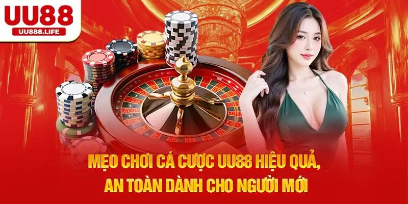 Mẹo chơi cá cược UU88 hiệu quả, an toàn dành cho người mới